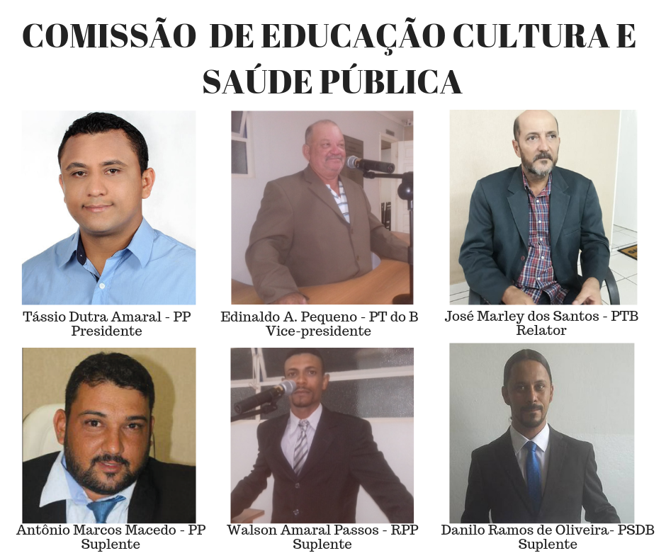 Comissão de Educação, Cultura e Saúde Pública